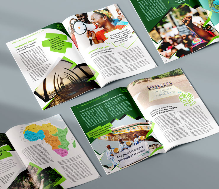 Report Layout and Design